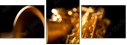 49029894