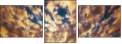 49042592