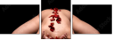 49138108
