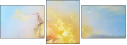 49140904