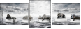 49167138