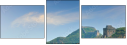 49204590