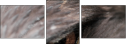49245808