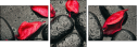 49357610