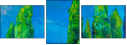 49522829