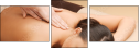 49532664