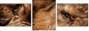 49550663