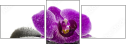 49566180