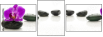 49566256