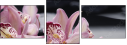 49633932