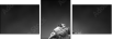 49654340