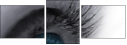 49921743