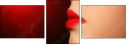 49940645