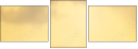50009551