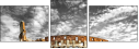 50130515