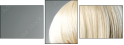 50250548