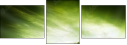 50284867