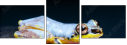 50366264