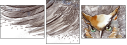 50509602