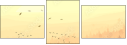 50573236