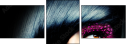 50869247