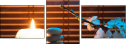 50934171