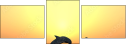 51168696