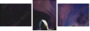 51192902
