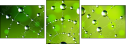 51217403