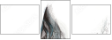 51554191