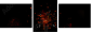 51579789