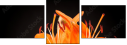 51668124