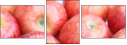 51930059
