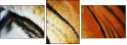 51974402