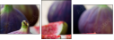52014179