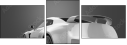 52445561