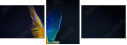 52669940