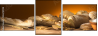 52670728