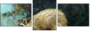 52717561