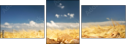 52793015