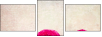 52805750