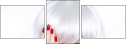 52842461
