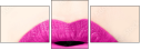 53018063