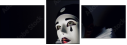 53058235