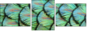 53512479