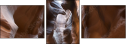 53751853