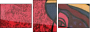 53800770