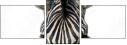 53992144