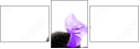 54154961