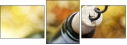 54440683